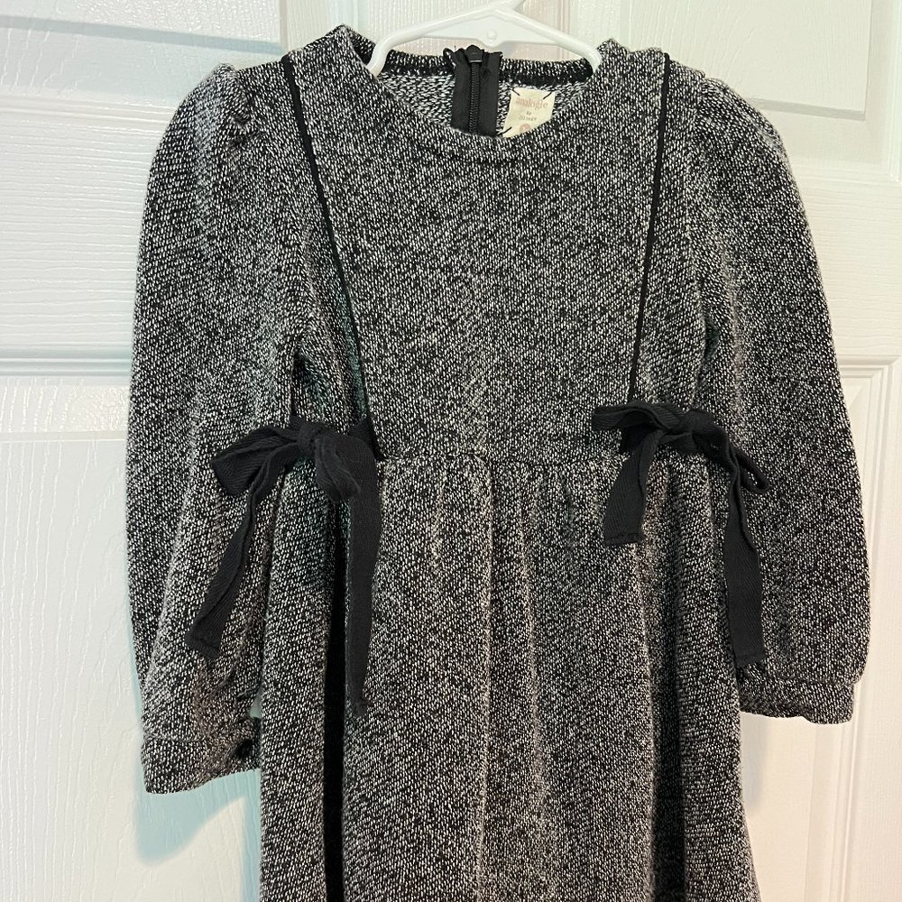 Lillegs Little Girls Dress